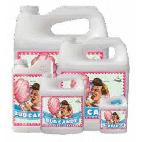 Bud Candy